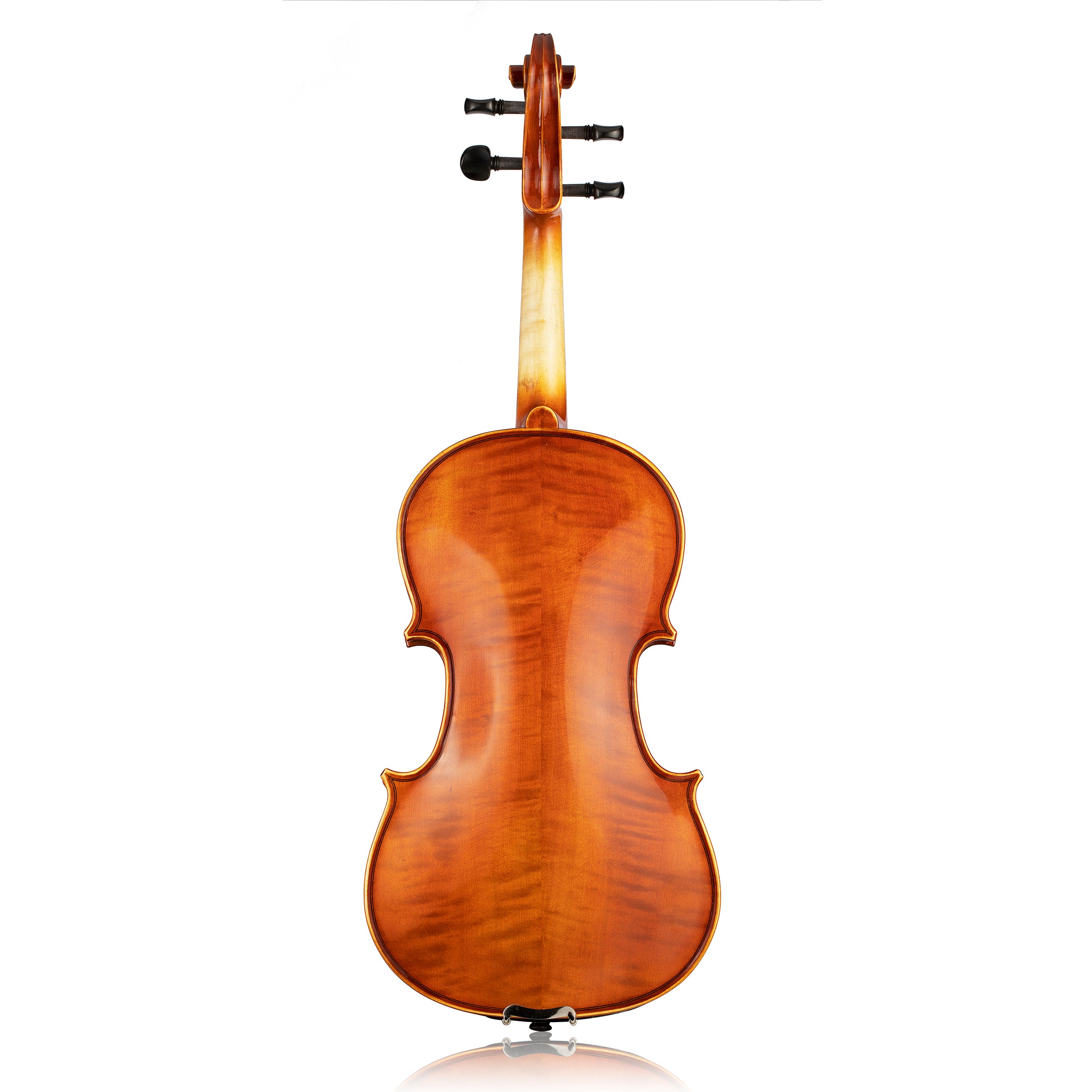 VIOLA V12-15