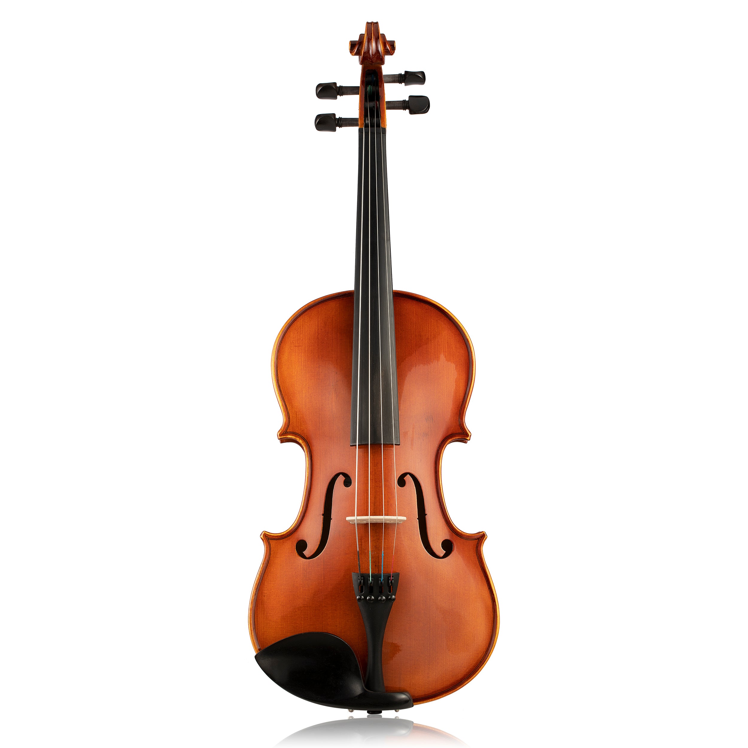 VIOLA V12-15